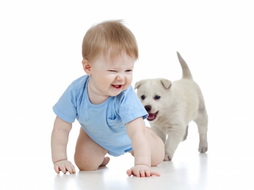 Vous voulez devenir assistante maternelle et vous avez des animaux à la maison. Ou vous souhaitez en adopter ? Quelles obligations respecter ? Quelles précautions prendre ?